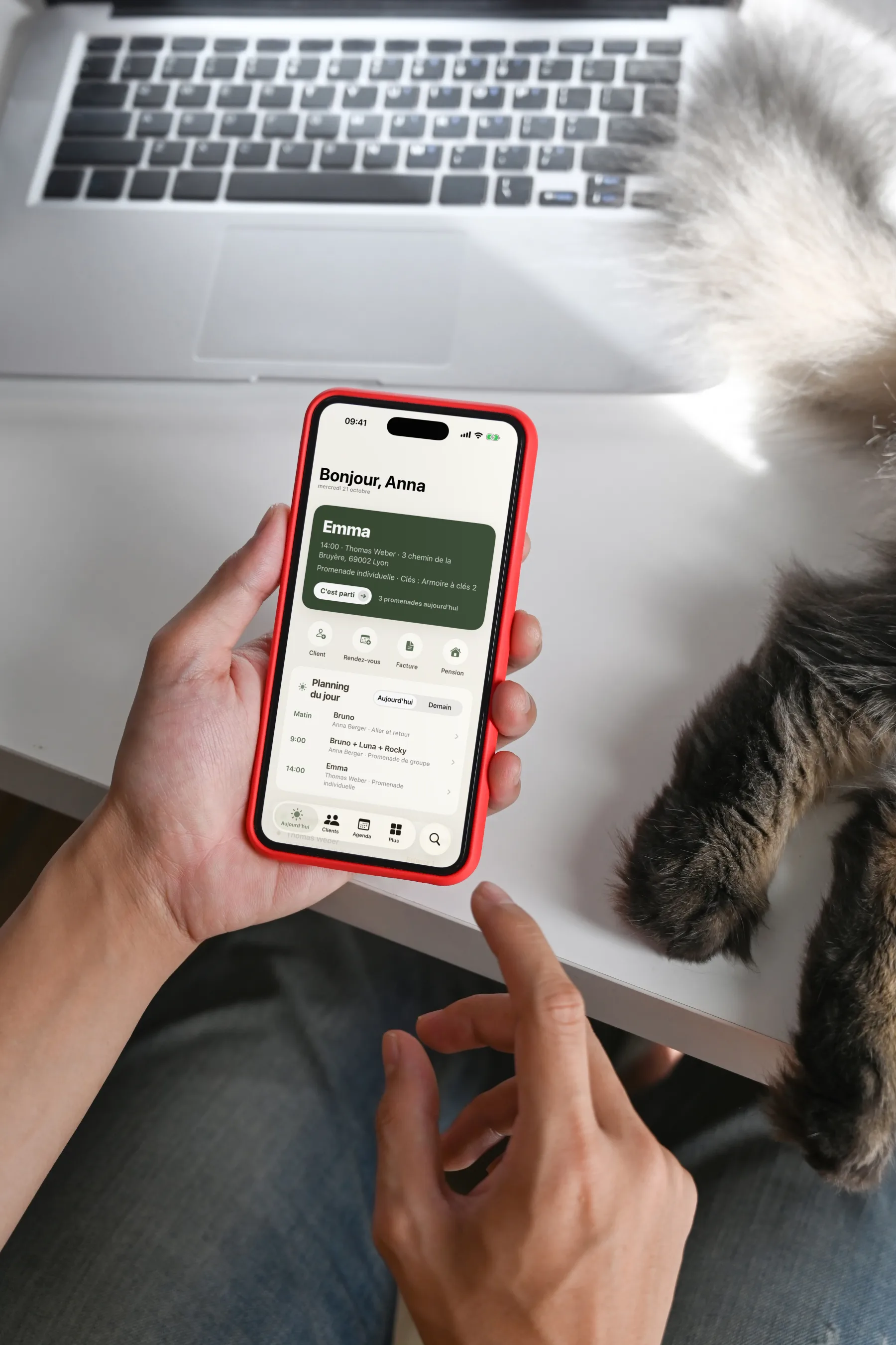 Des mains tiennent un iPhone affichant l'écran Aujourd'hui de Dog Walkers, à côté d'un ordinateur portable et des pattes d'un chat.