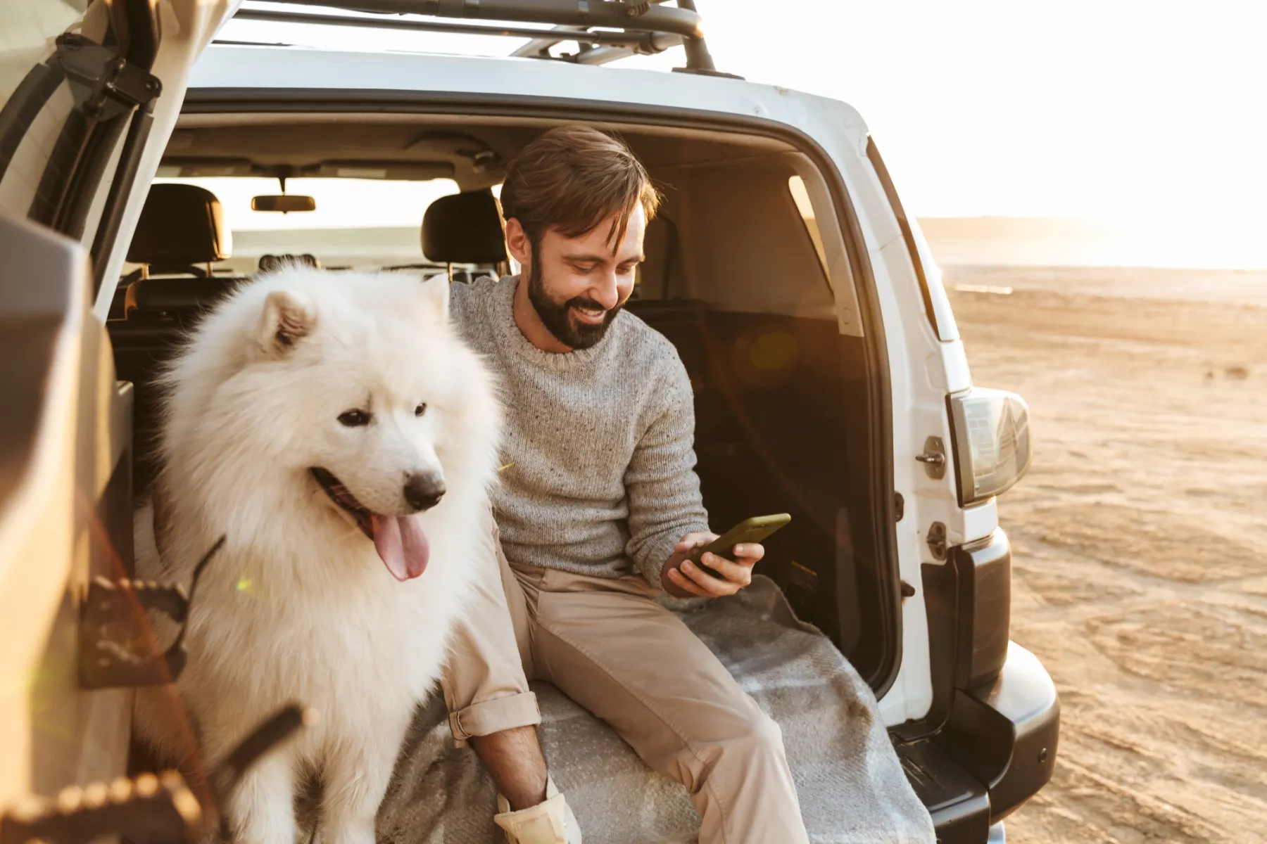 A man sits in the open trunk of his car next to his white Samoyed, looking at his phone, ready for the trip.