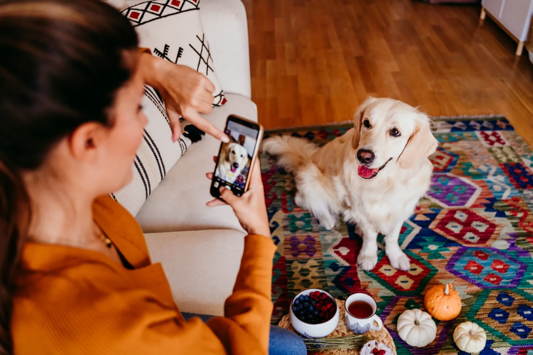 A woman takes a photo of her golden retriever on a colorful rug in the living room.