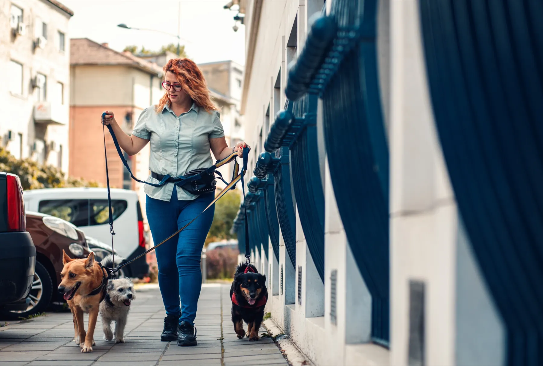 A woman with red curls and glasses walks three dogs on leads through an autumn park.